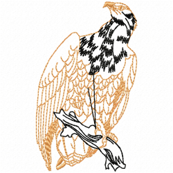 Eagle And Falcon Embroidery Design 7 Eagle And Falcon Embroidery Design 7